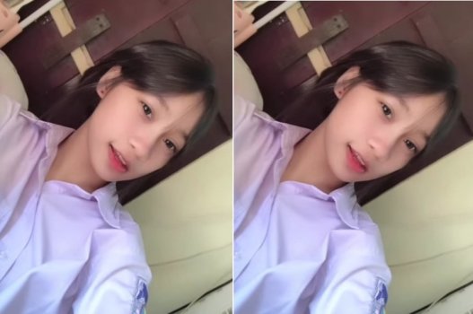 แมวทารก แต่ชอบดูดนกกาเหว่า